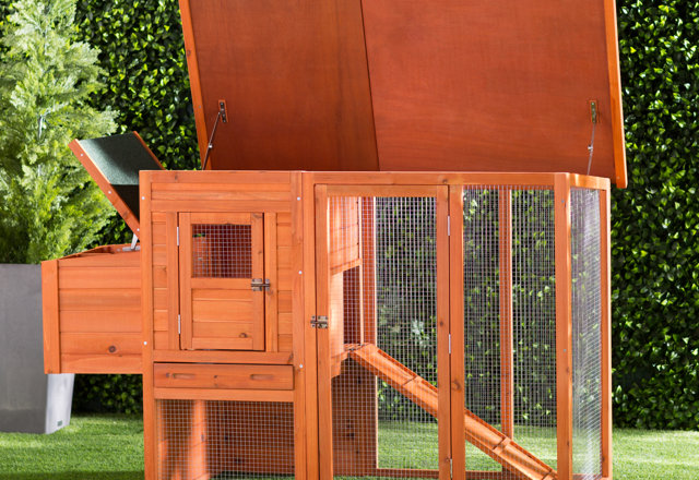 Best-Selling Chicken Coops